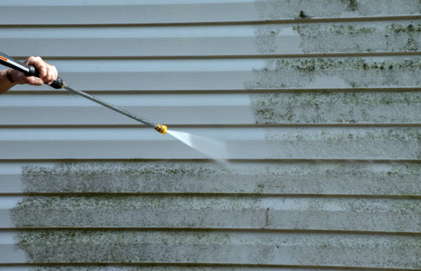 Best Warehouse Cleaning  in Scotts Hill, TN